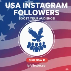 usa instagram followers